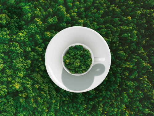 illy Arabica Selection Brazīlija, Cerrado Mineiro