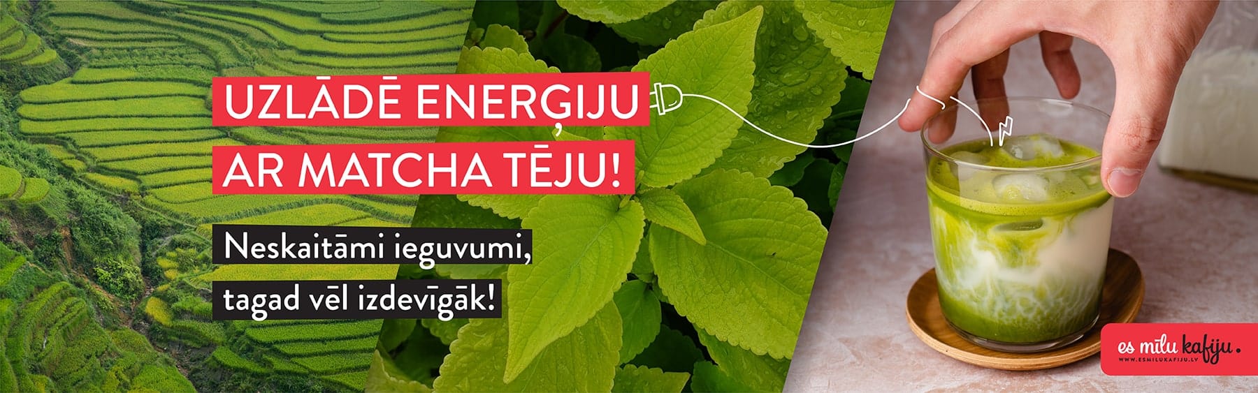 Matcha zaļā tēja