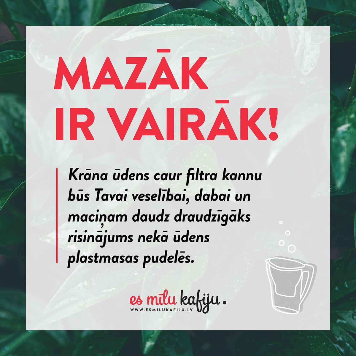 BWT Ūdens filtri Ūdens kannas filtrs ar magniju BWT, 1gb