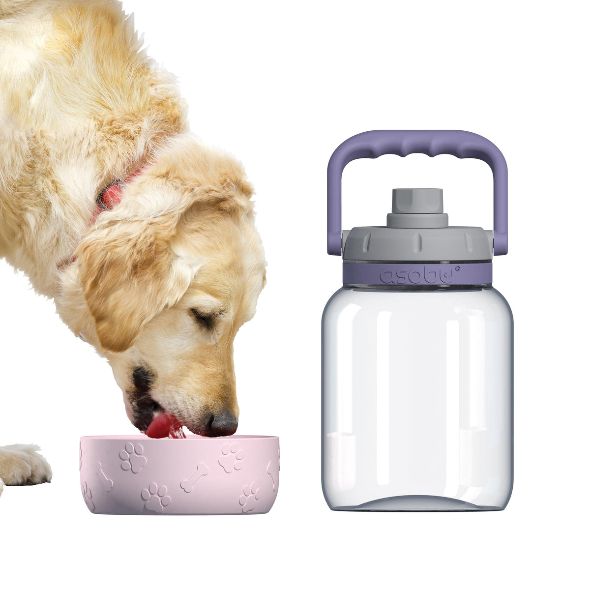 Asobu Trauki Ūdens pudele Asobu Barkley, 1L, TWB21 rozā